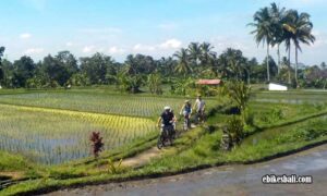 Gowes ke Tegalalang