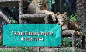 Kebun Binatang di Jawa
