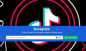 snaptik