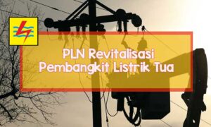 pln