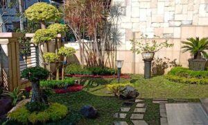 tukang taman jogja berpengalaman