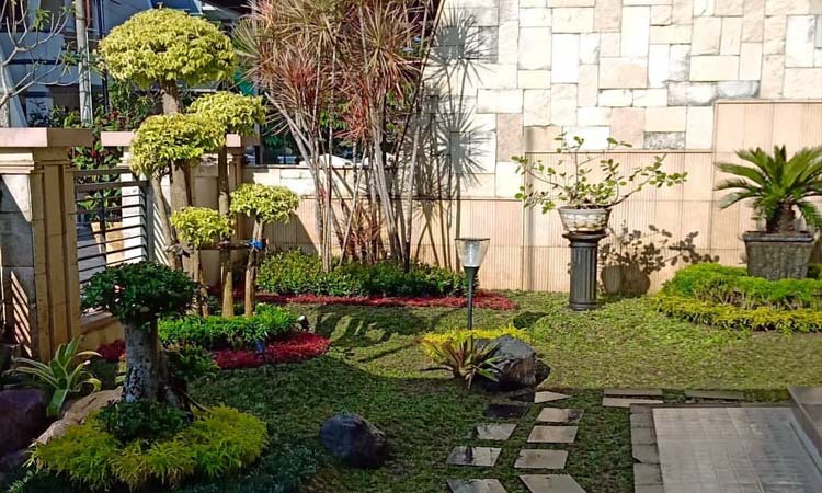 tukang taman jogja berpengalaman